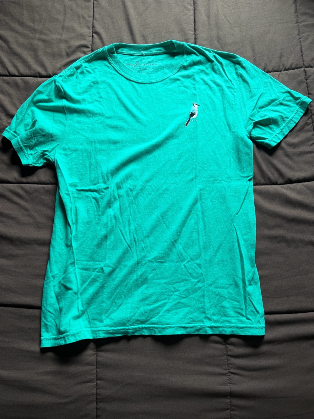 Bird Collective Backyard Birds East Tee